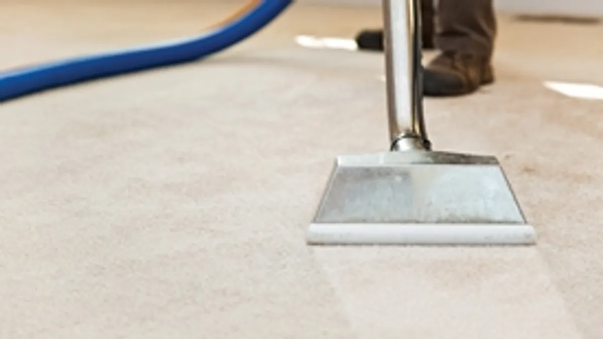 Carpet cleaning wand head gliding over a light carpet during hot-water extraction, Saint Petersburg, FL.